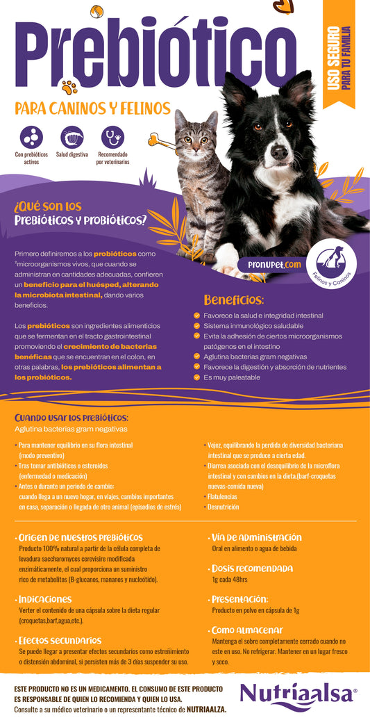 Prebioticos para Gatos