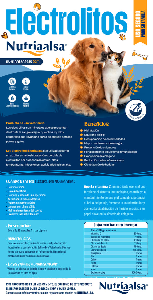Electrolitos para perros y gatos