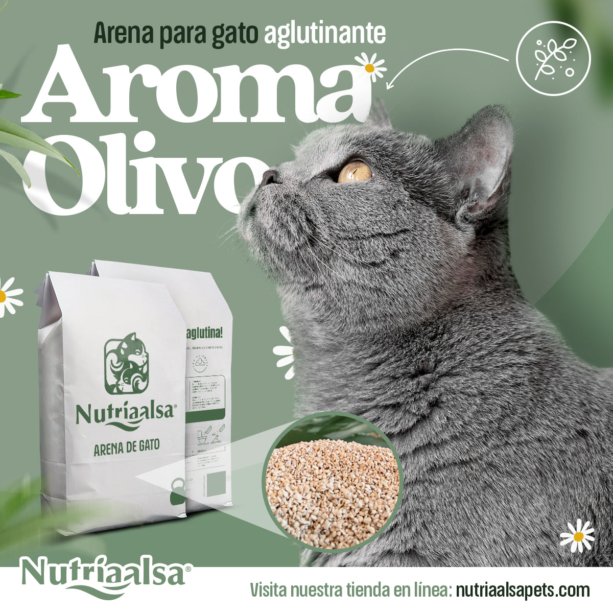 Promo Arena de gato