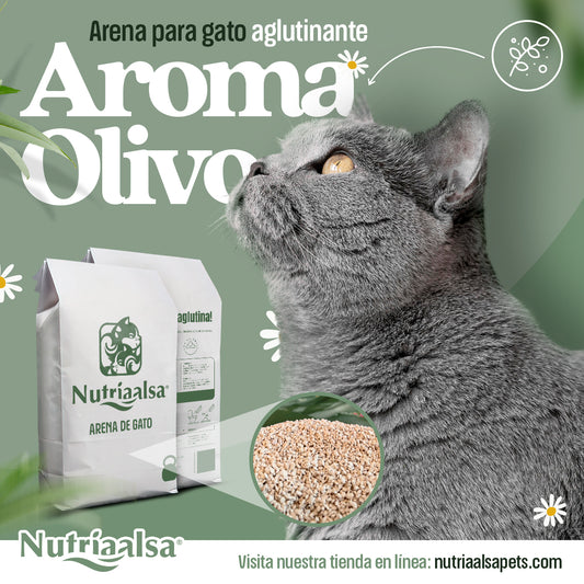 Promo Arena de gato